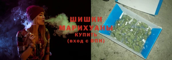 индика Навашино