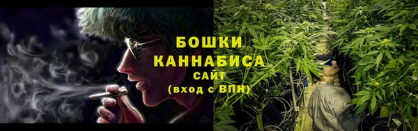 индика Навашино