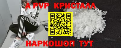 прущие грибы Будённовск