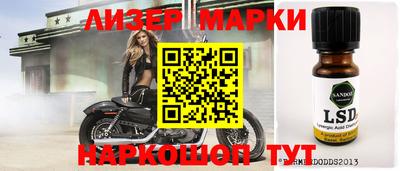 прущие грибы Будённовск