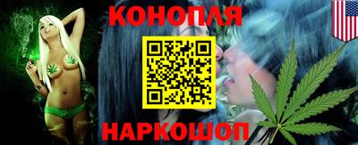 прущие грибы Будённовск