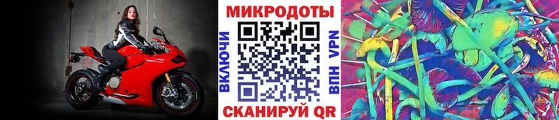 Псилоцибиновые грибы Cubensis  OMG ССЫЛКА  Добрянка 