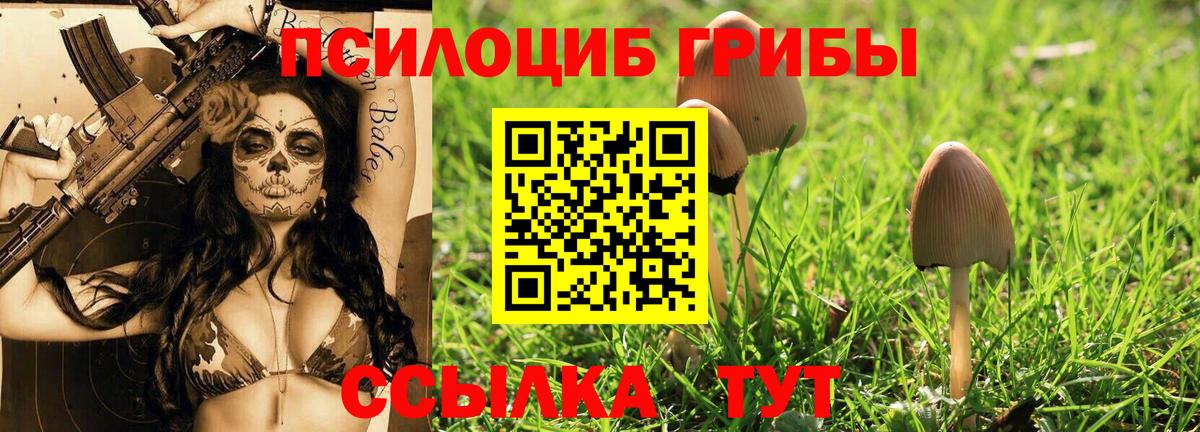 Добрянка  Псилоцибиновые грибы Magic Shrooms  Вход с VPN  наркошоп  Псилоцибиновые грибы мицелий 