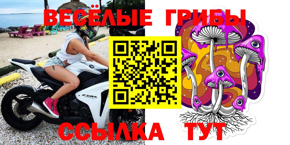 Галлюциногенные грибы Psilocybine cubensis Добрянка