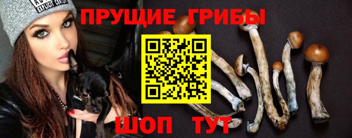 Псилоцибиновые грибы мицелий  закладка  Добрянка  Псилоцибиновые грибы мицелий 